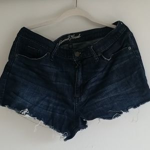Gently worn jean shorts